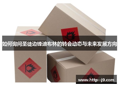 如何询问圣徒边锋迪布林的转会动态与未来发展方向